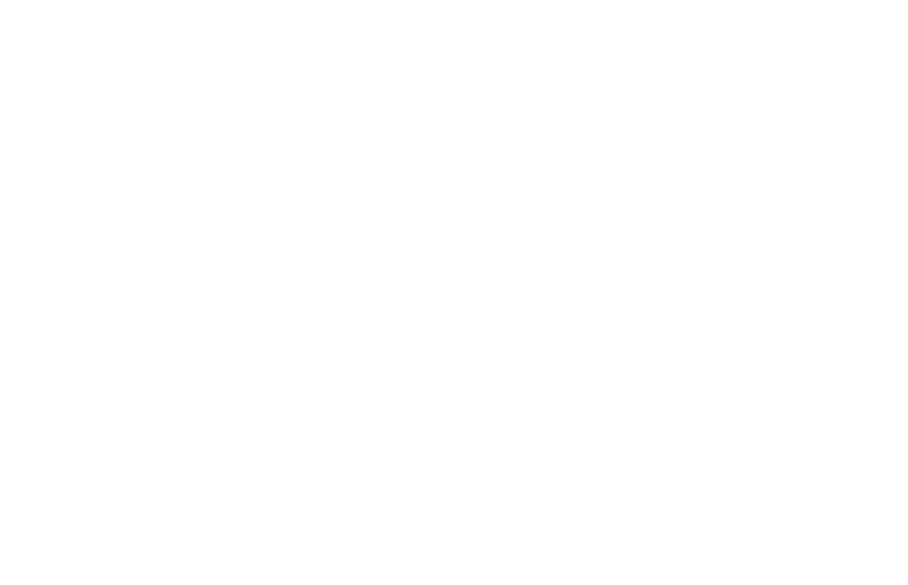 gurdillience logo